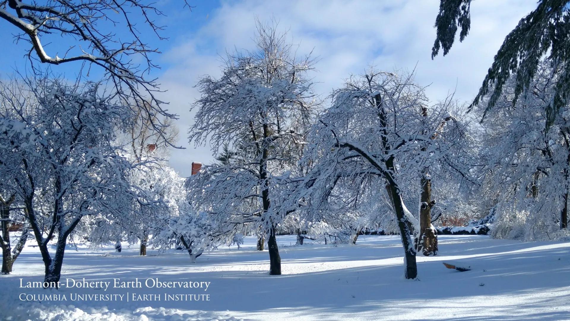 Lamont Campus In Winter By Miriam Cinquegrana.jpg