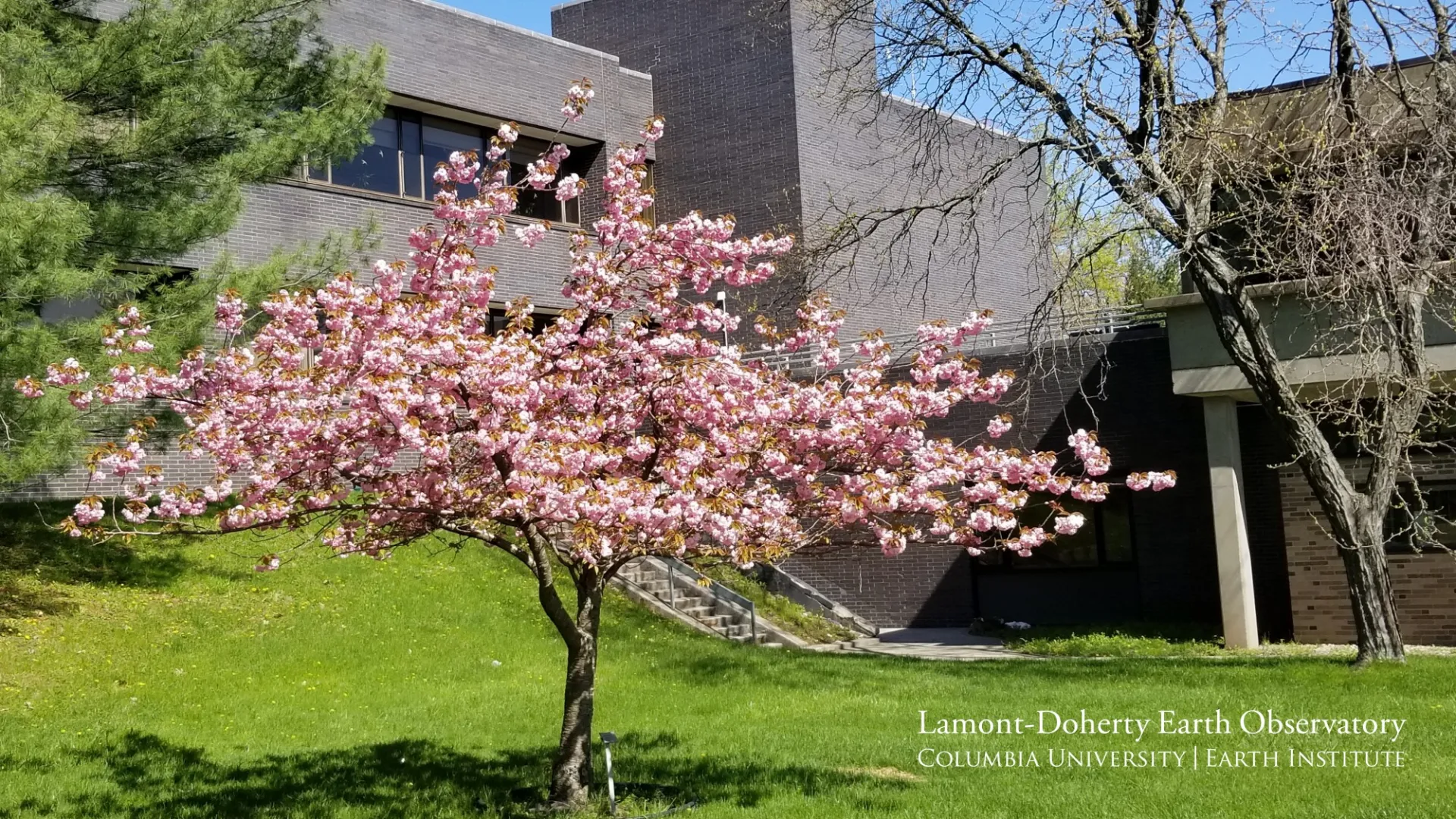 Lamont Geoscience Building By William Menke.jpg