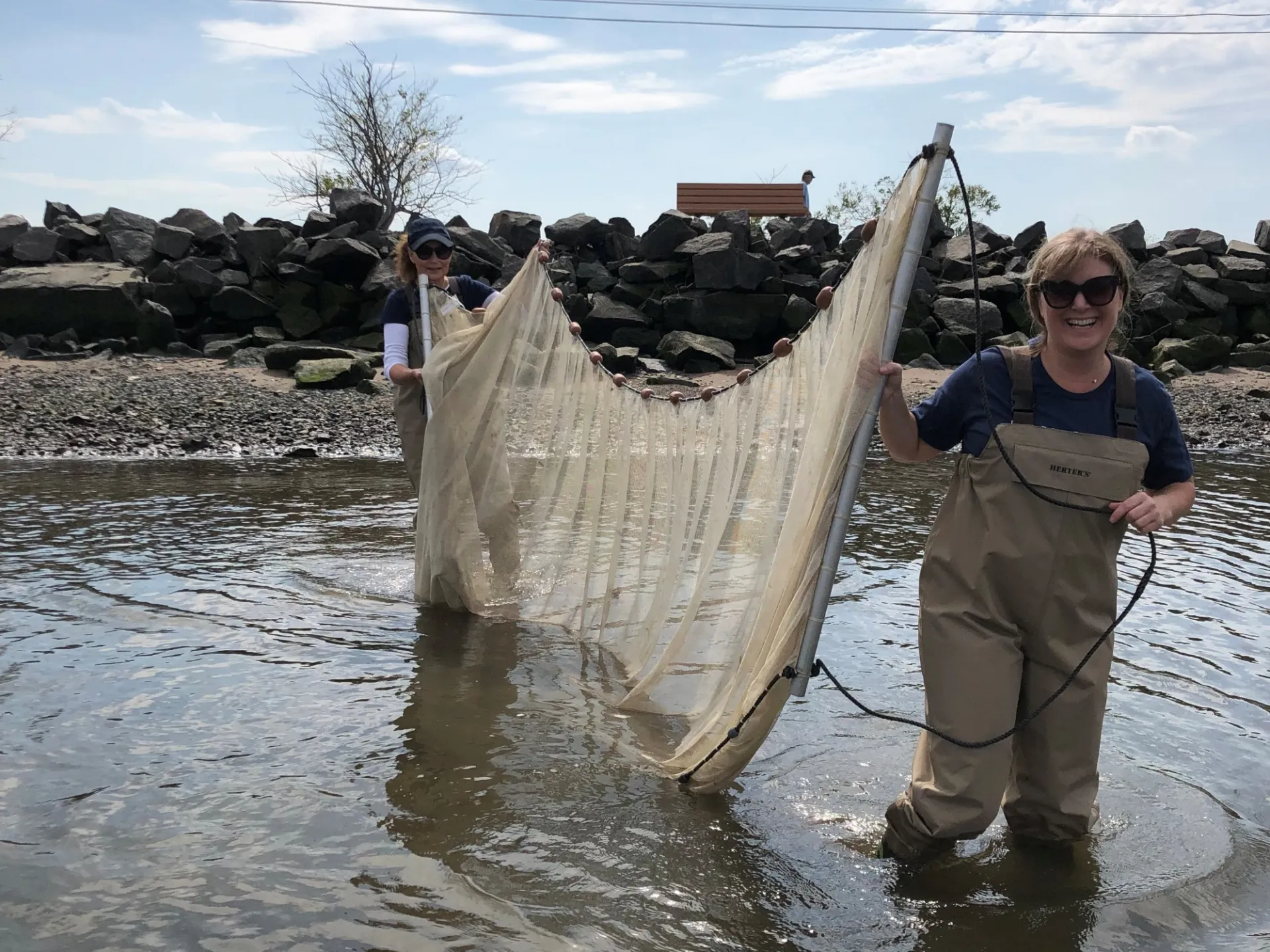 Seining at Hudson River Field Station September 2019