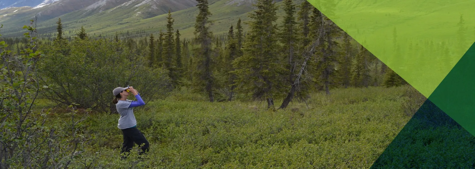 Lamont Ecologist Natalie Boelman in Alaska