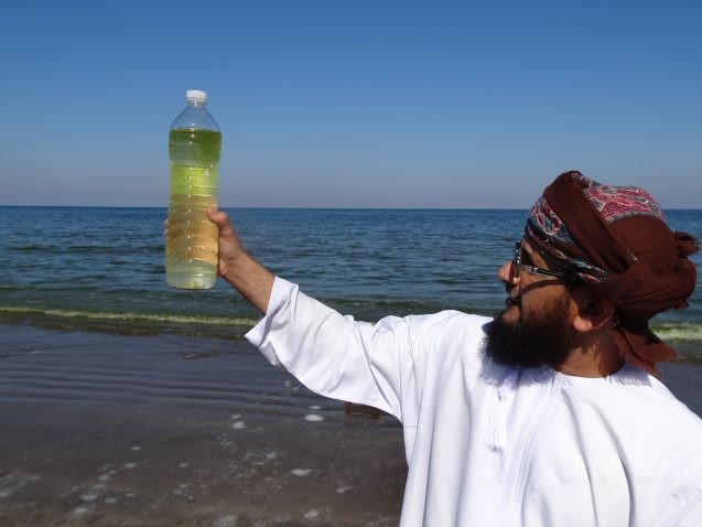 Algal Blooms in Arabian Sea - Joaquim Goes